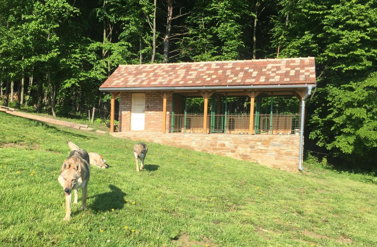 Chata Koniaren Villa Pavlovce Екстериор снимка